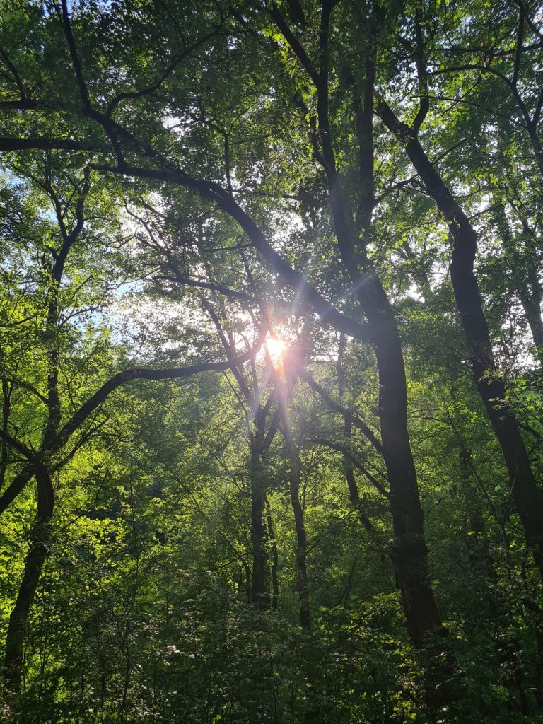 whatsapp kép, 2025 07 24, 07.20.43 1ac08911